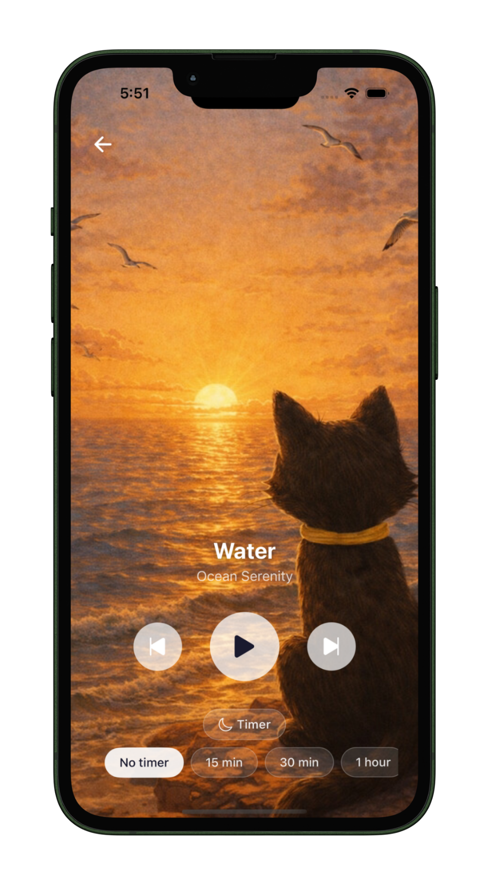 Ocean sounds for relaxation and meditation